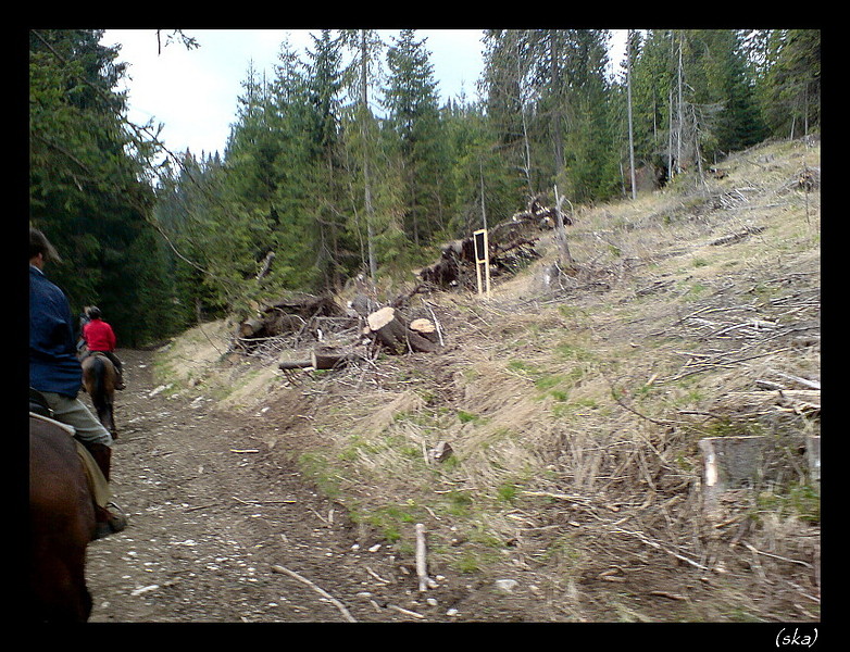 rúbaniská.