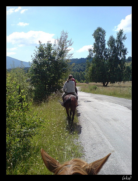 Ponad uši molly.