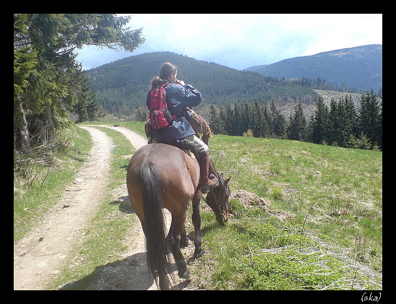 Stolica pred nami.