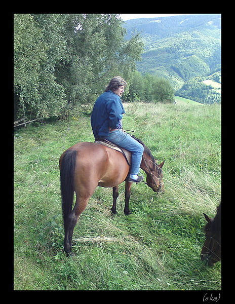 Hríby sa hľadajú najlepšie s koňa.