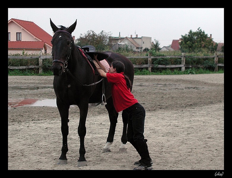 Some are short, and others tall,<br> Some hit their heads against the wall. <br> But it doesn't really matter at all, <br> When you happen to be on horseback.