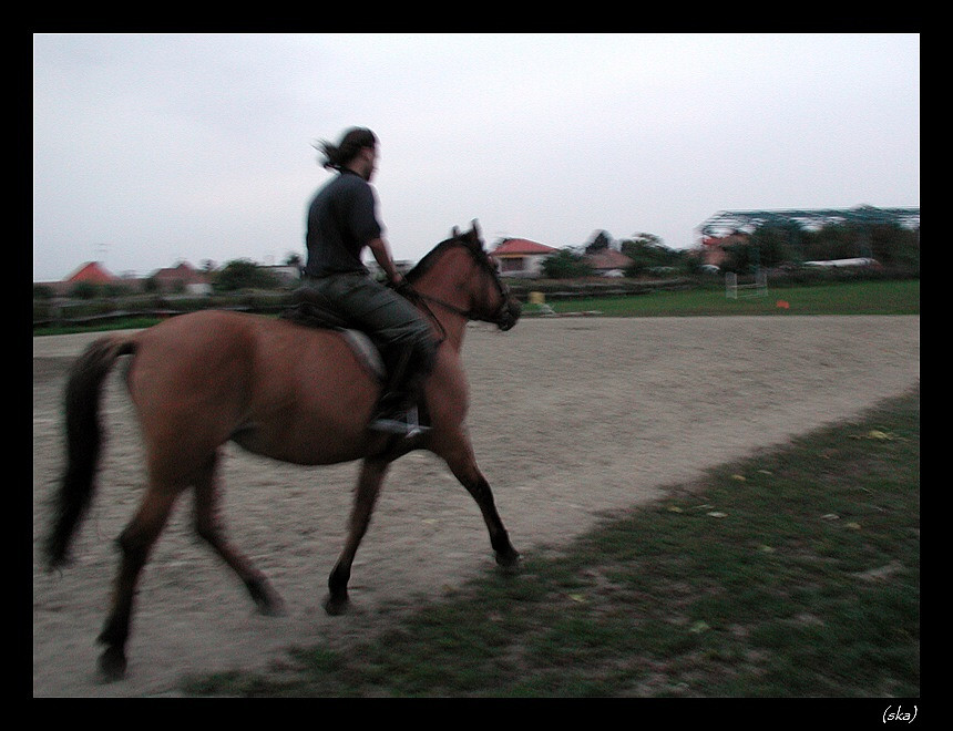 Wow. Pejka kluse!