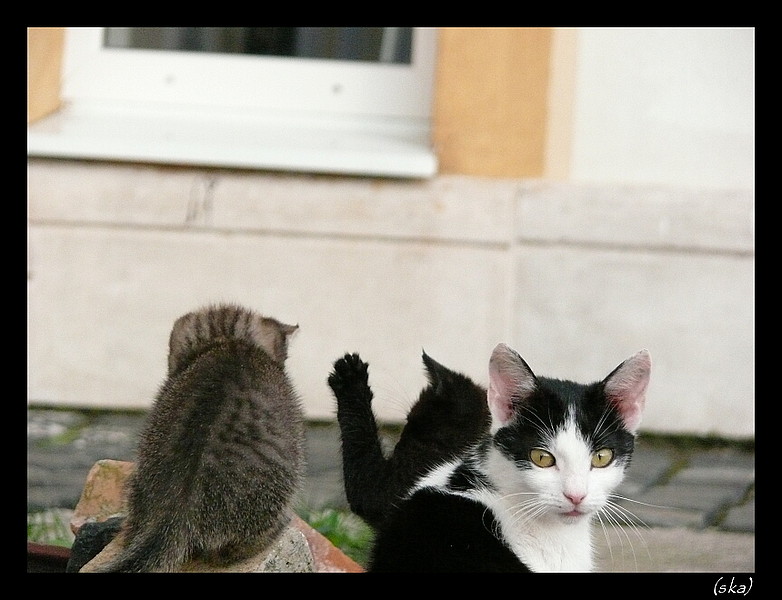 Čo nás stále fotíš?