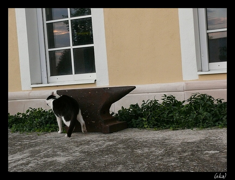 Len čo obídem kovadlinu...