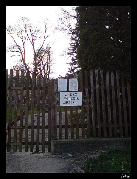 Čo to?