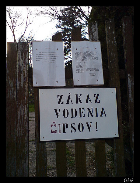 Aha. To ako ani v sáčku?